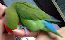 ���[��A����Ȃɏ΂�Ȃ��ł悧�`�I�I