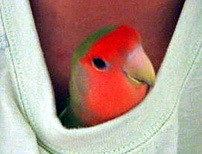 �����A����I���H�H�H