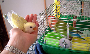 ���A�ڂ����P�΂ɂ��Ă�������ɂ������Ă���񂾂��B�B