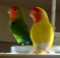 �L���C�ł���䂢�ˁ`��������