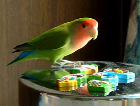 �͂���񂿂�񂩂璸�����񂾂��