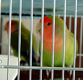 ���O�A�����Ȃ��Ă����v�����