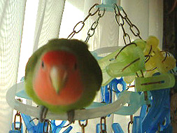 �����̓}�}�Ƃ́`��т肷��񂾂���