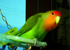 �����ƁA�Â��Ȃ��Ă���������˂��B