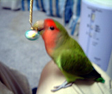 ����񂿂�񂩂璸�����񂾂��