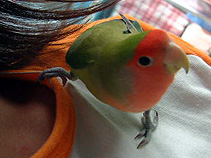 �܂܁[�A�����͂��������́A����[�����ˁI