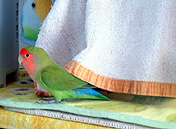 �����Â��Ȃ�Ȃ����Ȃ��`�B�B