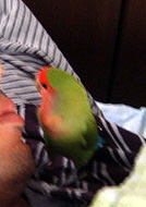 ����`�����Ⴈ�����Ȃ��`�B�B