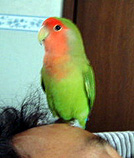 ���ł�����Ă��A�{��Ȃ��́�