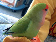 �������Ⴂ�}�}�ˁ�