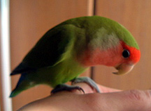 ���S�z���������܂����I