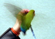 �݂�����[��I����������������������`��