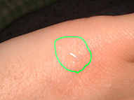 �j�̎q�̏؋��E�E�E(*^^*)