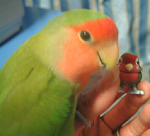 �ɂЂЁ`��ڂ��̕��g�I