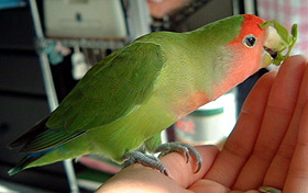 ���������`��