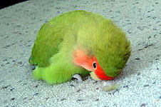 �܂܂��A�����������ā`