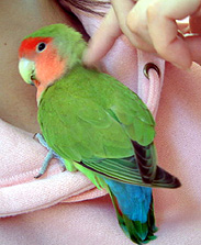 ���x�݂̓��́A�Â���V�Ȃ񂾂���