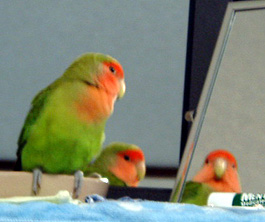 �ǂ����Ă�́`�`�`