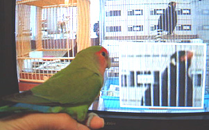 ����[���񂿂�[����A������ׂ肶�傤�����ˁI