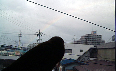 �ق�ق�I�ڂ��̍��̓d�M������I