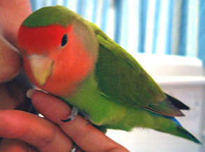 �܂܂��A�܂܂��B�B�i�Â���V���[�h(^^;�j