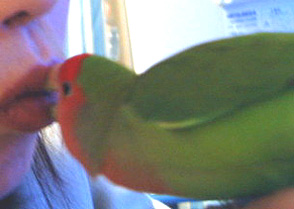 �v���[���g�́A����`��(^�E^)