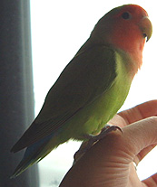 �˂˂˂��A�ӂ����˂������A���Ă��ꂽ����I