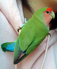 �Q�O�O�Q�N���A��낵���˂���