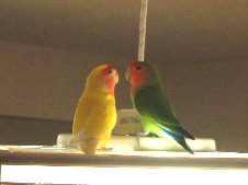 �ŏ��ōŌ�ɂȂ����A�肭�����Ƃ����̃��u���u�V���b�g�B�B