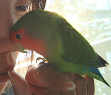 ���˂�����񂽂��̕����A���[���Ƃ�������ɂ��悤�ˁB�B