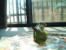 ���[�A�˂����݂�����������I��(^��^;)