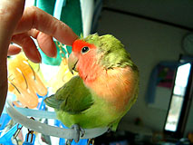 ���[��A�����������`�B�B�B