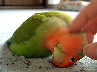 ������`�A���������`�`�`