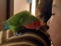 �������Ȃ����ǁA�������_�C�X�L�Ȃ��������B