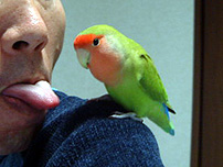 �K�������Ɂu�ׂ��v����Ă����B