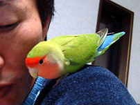 �Ȃ̂ɁA�����̓p�p���_�C�X�L�B�B