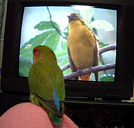 ���ꂾ�������Ȃ��A�A�A�ڂ��Ǝ��ĂȂ����H