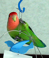 �����͂��[�[�[���ς��V�Ԃ񂾂���I