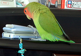 ����A�Ȃ񂾂�H�H�H(�_�?)