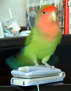 �ւ��ւ��ց`����A�ڂ��[����̂���Ԃ�Ԃ�Ԃ�I