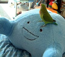 �����܂邭������������