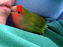 �܂܂��A���カ���カ��(^�E^)�`���b