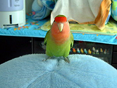 �����܂�͂ڂ���̂��I�I