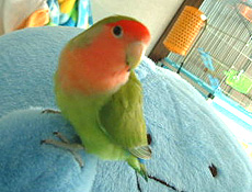 �����I�H�X���X�������Ⴂ���Ȃ��́H��(^��^;)