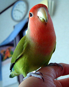 �ڂ��ɓ��L�A�������菑���Ă��ĂˁI