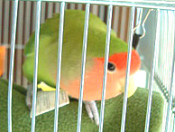 �}�}�A���d���s�����Ⴄ�̂��H