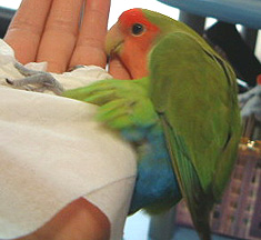 �����A�a�@�s���̂��I�H�X���X�����Ă�ꍇ����Ȃ�������E�E�E