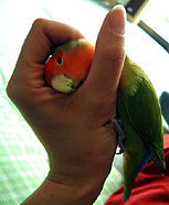 �܂܂��`�B�B