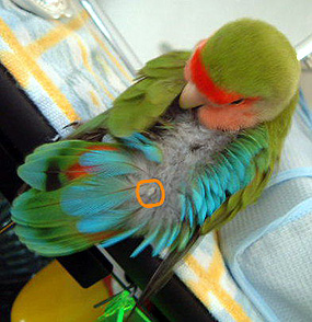 �M�d�Ȃ��ʐ^����`�I�����o��Ƃ��Ȃ́�