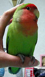 �����͊y�����������Ǖ|����������ꂿ������Ȃ��B�B